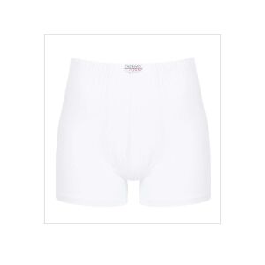 Bambu Erkek Boxer Short - Thermoform - Beyaz