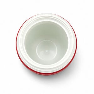 Cam Yemek Termosu - Isı Yalıtımlı - Igloo - 600 ml - Gri/Lacivert - 200385