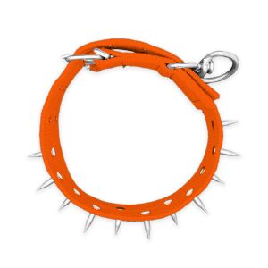 Dokuma Çivili Köpek Boyun Tasması - 5*80 cm - Turuncu